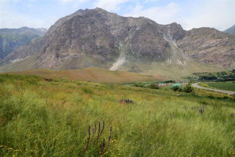 Zdjęcie nr 2 (4)
                                	                             Północny Tadżykistan, step ostnicowy z dominacją Stipa capillata
                            